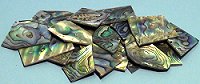 Paua Abalone -palaset 50g