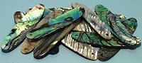 Green Abalone uistinaihio n.75mm