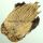 Kukon niska natural Badger Grade A Intia TFH®