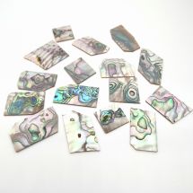Abalone -palaset noin 50g