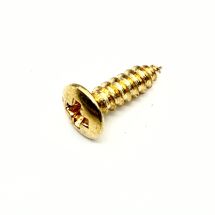 Ovaalikanta puuruuvi 2.5mm x 10mm kulta