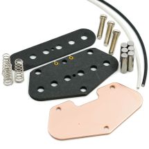 DIY Tele -tallamikin rakennussarja, Alnico 5