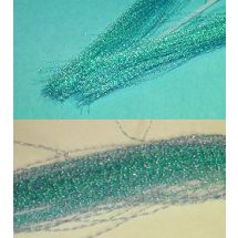 TFH™ Crystal Sparkle Flash Light Blue