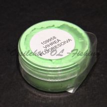 Färgpigment fluopulver lyspulver färgpulver GREEN 10g TFH®