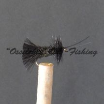 Goddard Caddis Black perho #10