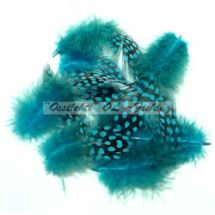 Helmikana Guinea Fowl vartalohöyhen lajiteltu irto 40 - 50 kpl KINGFISHER BLUE