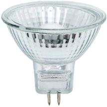 Halogeenilamppu MR16 C 12V 35W GU5.3