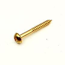Kupukanta puuruuvi 2.5mm x 20mm kulta