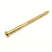 Kupukanta puuruuvi 2.5mm x 40mm kulta