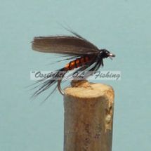 Wet Winged Fly Orange Body Dark Wings #10