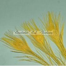 Ossilehti Albino Peacock Eyes (pohjaväri silvergrey) YELLOW 3 kpl TFH™
