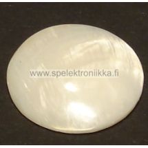 Simpukan kuoren palanen pyöreä koko n. 25mm