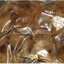 Sinisorsa höyhenet brown Mallard flank brown n. 30 - 40 kpl