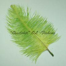 Strutsin sulka (höyhen) pyrstöhöyhen kokonainen, Chartreuse Green