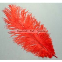 Strutsin sulka (höyhen) pyrstöhöyhen kokonainen, Punainen kirkkaanpunainen