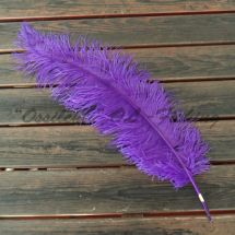 Strutsin sulka (höyhen) Purple jättikoko pituus 50 - 60 cm