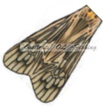 True Wings Caddis RCW 001 Grey M 10kpl