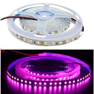 LED-nauha 12VDC 2835 violetti 5m