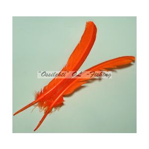 Kalkkunan sulkapari, sulat (siipisulka), Orange 1pari