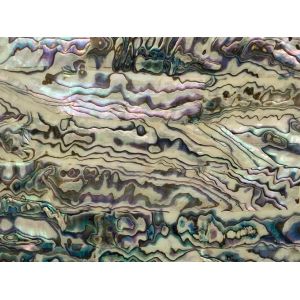 Laminoitu simpukkalevy MEXICO GREEN 70mm x 120mm