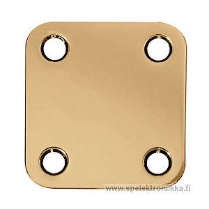 Kaulan kiinnityslevy, kulta 47 x 50 mm, KAULE2GD