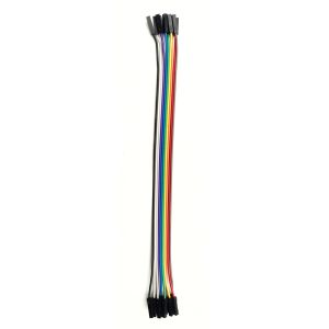 Hyppylanka, naaras/naaras 20cm 10kpl