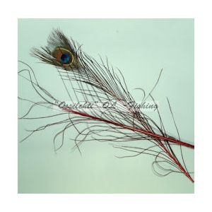 Riikinkukon värjätty silmähöyhen (35cm + alaosa) x 2, Tumma Punaviini TFH™