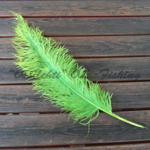 Strutsin sulka (höyhen) Bright Green jättikoko pituus jopa 50 - 60 cm