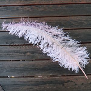 Strutsin sulka (höyhen) Light Pink sävy 1 jättikoko pituus jopa 60 - 70 cm