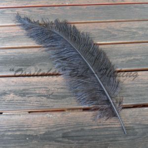 Strutsin sulka (höyhen) Musta jättikoko pituus 50 - 60 cm