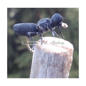 True Ant Black 2401E #12 koko Vania Flies