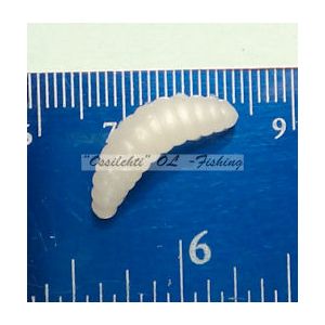 Larva Toukka valkoinen koko n. 20 mm myydään 10 kpl pussukoissa