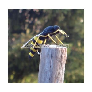 Wasp 1053D #10 koko Vania Flies