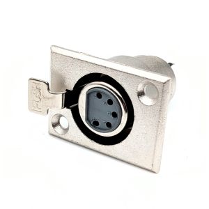 XLR runko naaras 5 - napainen