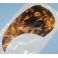 Kitaran pleksi, marble yellow, liimapinta, teardrop style, PG1MY