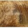 Hirven vartalokarva värjäämätön Elk Body Hair TFH®