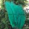 Strutsin sulka (höyhen) Vihreä jättikoko pituus 65 - 70 cm