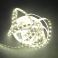 LED -nauha superkirkas 2835 lämminvalkoinen kuivatila IP20 12W/m 5m