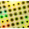 Litteät tarrasilmät, Rainbowgold 5 mm