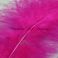 Marabou höyhen valikoitu TFH™ Hot Pink 10 kpl