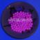 Muovikuula 6mm Fluorescent Coral Pink TFH® 50 kpl