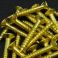 Mounting screws for guitars 2518GDW