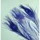 Ossilehti Albino Peacock Eyes (pohjaväri silvergrey) DARK BLUE 3 kpl TFH™