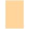 Pleksilevy aihio (cream) 1ply, 290 x 450 CM1PLYBIG