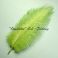 Strutsin sulka (höyhen) pyrstöhöyhen kokonainen, Bright Olive Green
