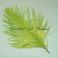 Strutsin höyhen short extra fluffy 22 - 24cm Chartreuse Green siikaset yli 10cm