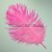 Strutsin höyhen extra fluffy 28 - 30cm HOT Pink siikaset yli 10cm