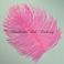Strutsin höyhen short extra fluffy 22 - 24cm HOT Pink siikaset yli 10cm