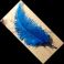 Strutsin sulka (höyhen) Sininen sävy 1 koko 2 pituus 45 - 55 cm