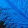 Strutsin sulka (höyhen) Sininen sävy 1 koko 1 jättikoko pituus 50 - 65 cm